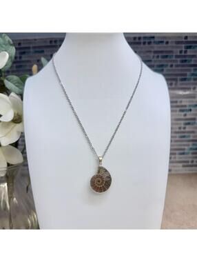 Hand crafted Ammonite Seashell Fossil necklace